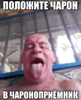🙈