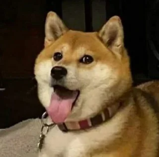 💓