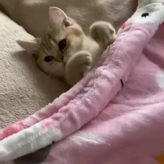 💕
