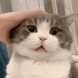 😨