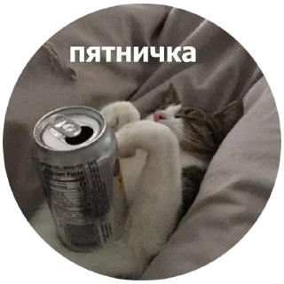 🍸
