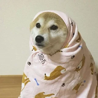 Dog @stickersb2b