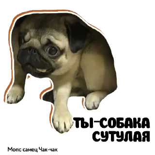 🤣