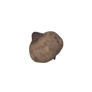🍠
