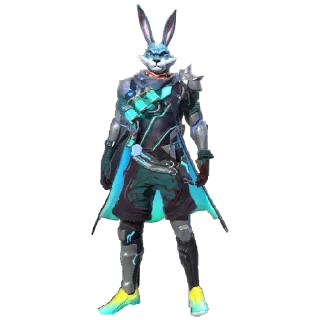 🐰
