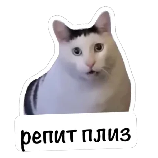 🫥