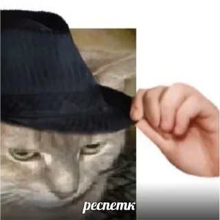 👍