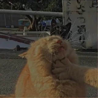 💗