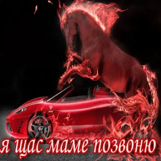 📲
