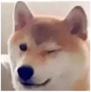 😉