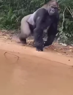 😠