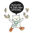 🍁