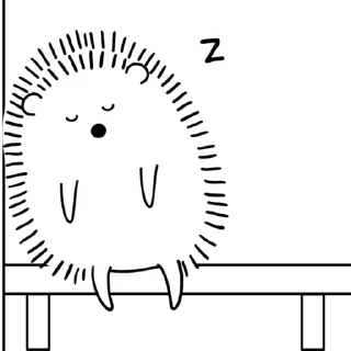 😴