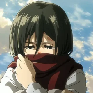 🧣