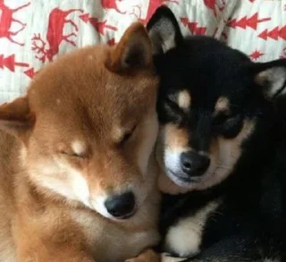 💓