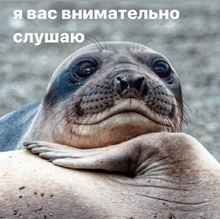🤨