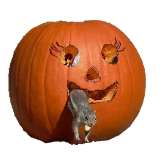 🎃
