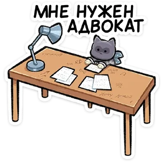 🙈