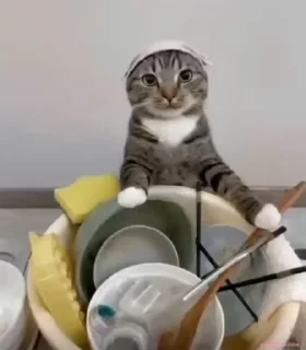 👩