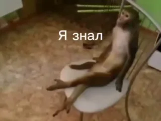 🥹