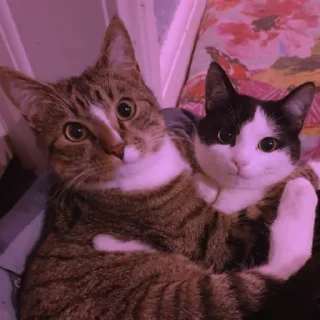 💜