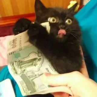 🤑
