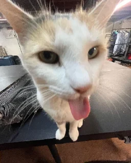 😛
