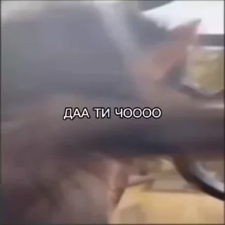 😨
