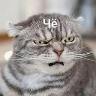 ❓