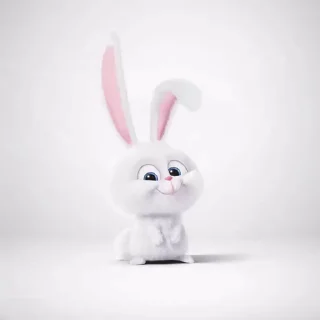 🐰