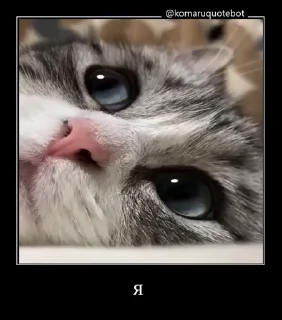 🤩