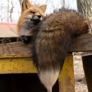 🙂