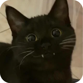🙂
