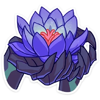 🌺