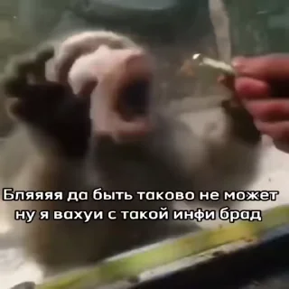 🤯