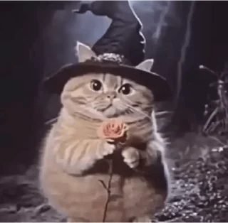 🔮
