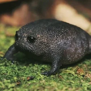 ☹️