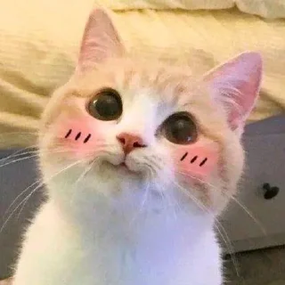 ☺