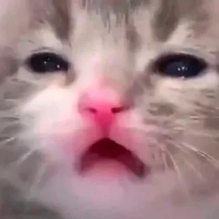 😲