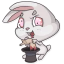 🐰
