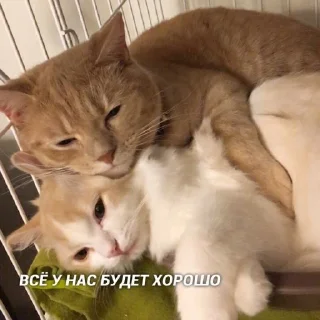 🥰