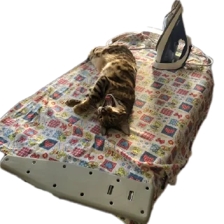🛋
