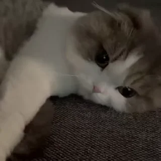 😔