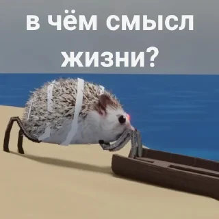 📦