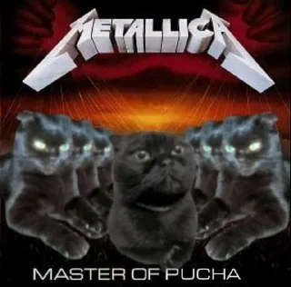 😎