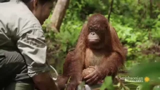 🐵