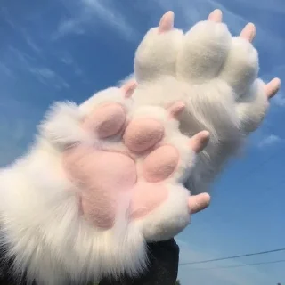 🌟