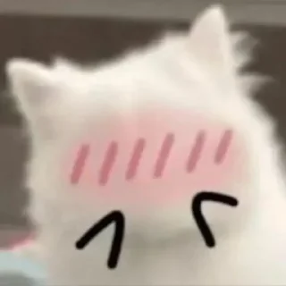 😳