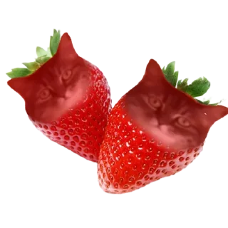 🍓
