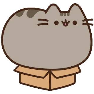 🐈